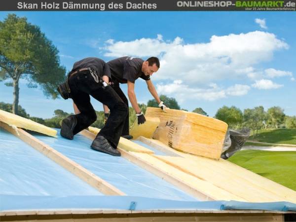 Skan Holz Vordachverlängerung 212 cm für Bern