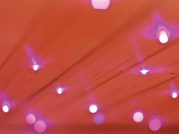 Karibu Sternenhimmel Farblichtanwendung LED