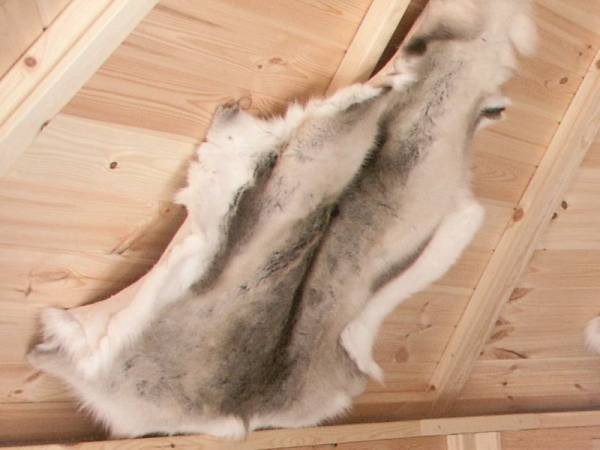 Wolff Finnhaus Rentierfell für Kota Wolff Finnhaus Rentierfell für Kota