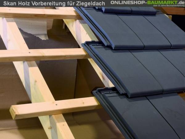 Skan Holz Vordachverlängerung 212 cm für Bern